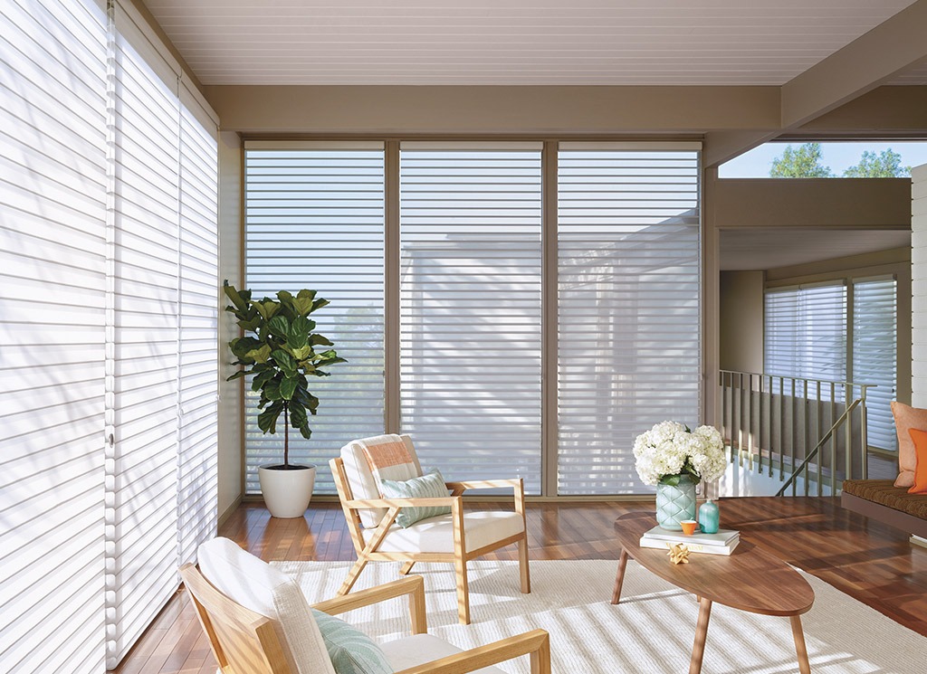 Sheer Blinds For Windows - BLINDS