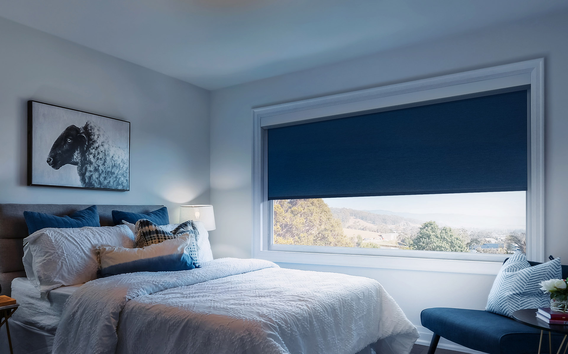 Introducing the Siesta System!