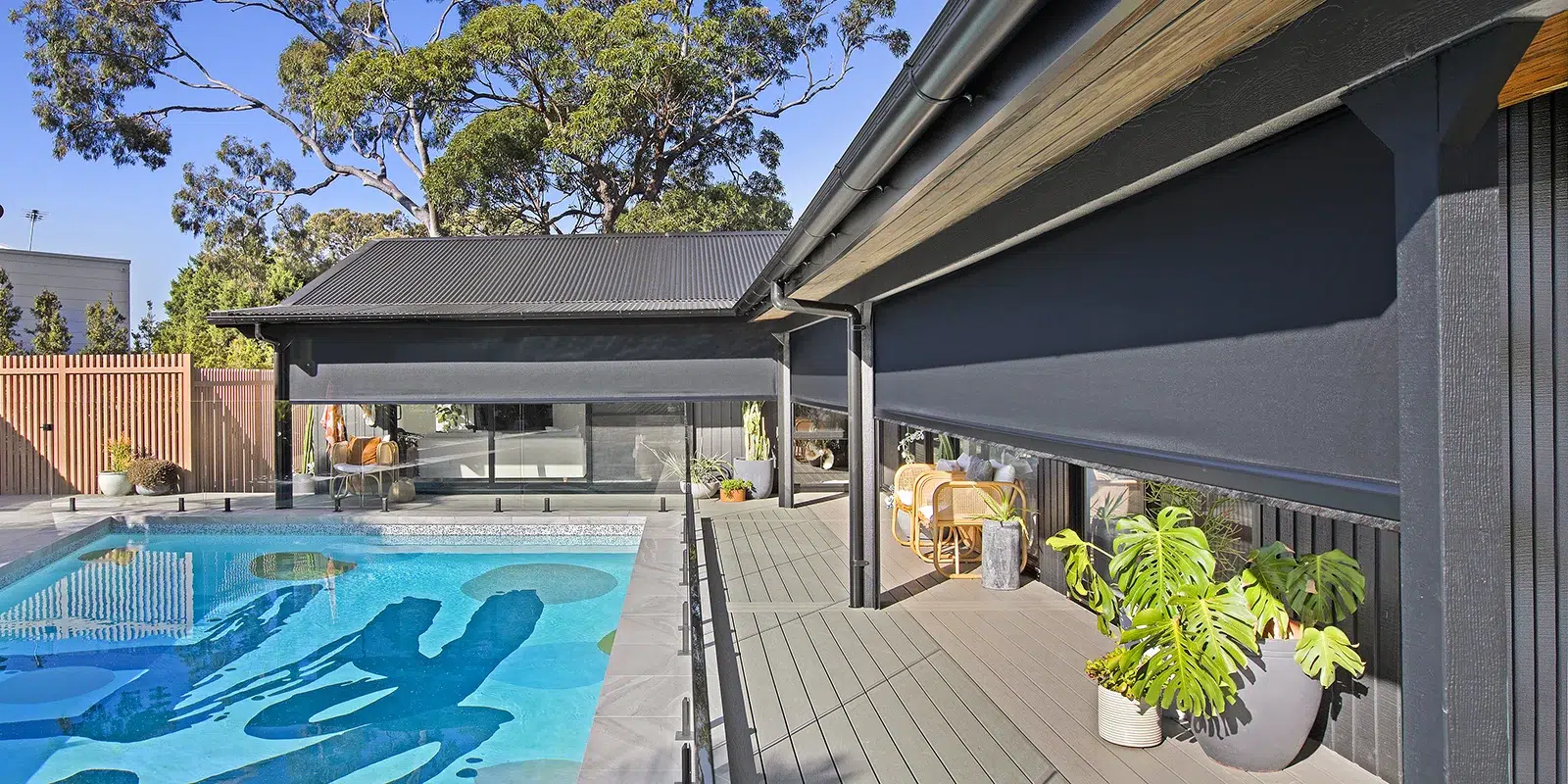 Inside Out January: Awning Glory