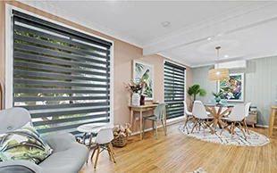 Vision Blinds