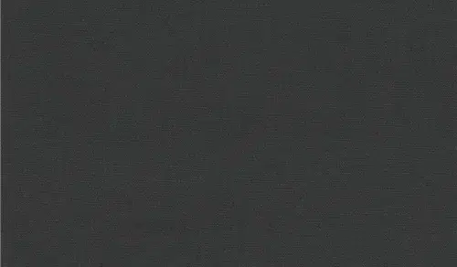Neptune Fabric in Anthracite